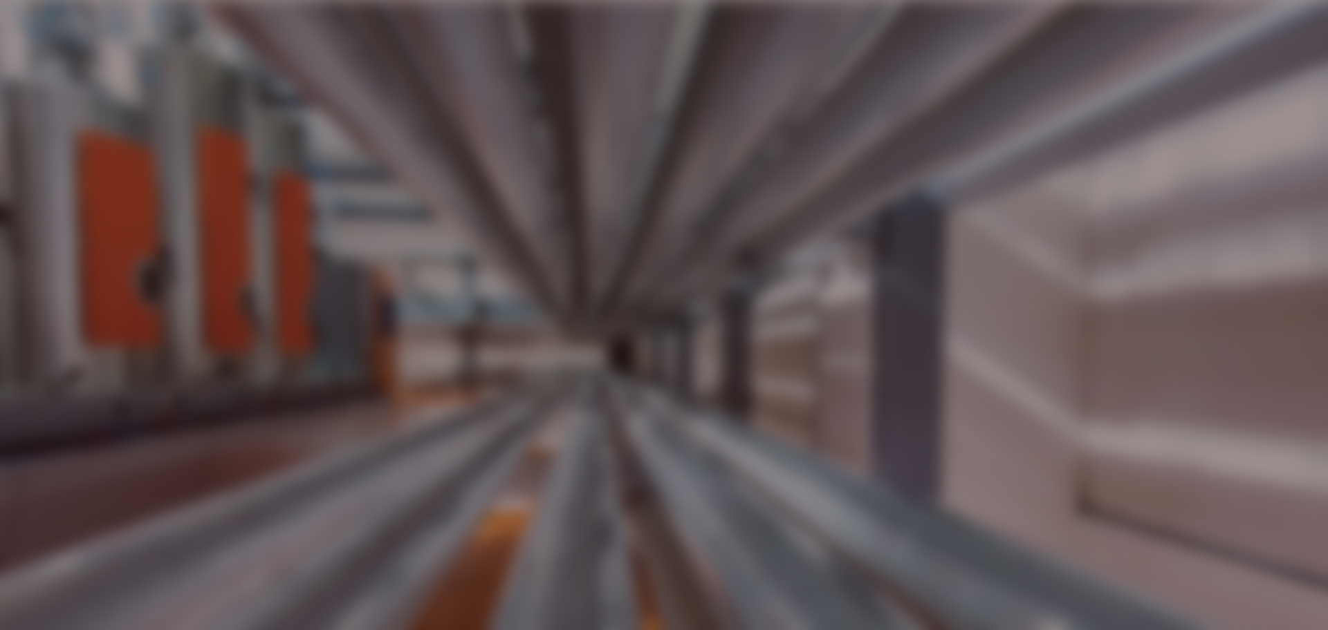 Bg1